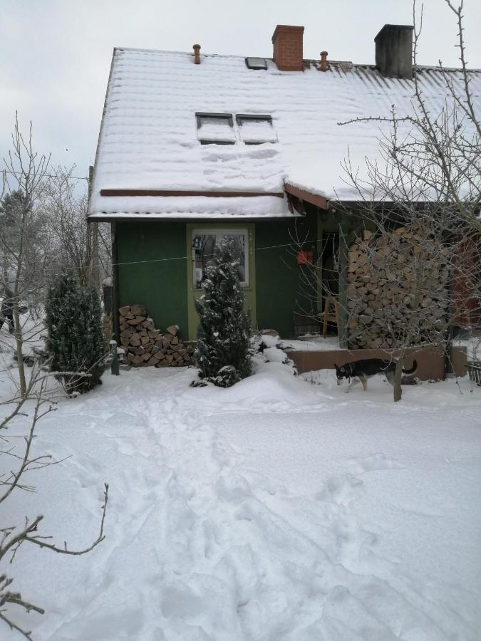 Zielony Domek W Sztynorcie Sztynort ภายนอก รูปภาพ